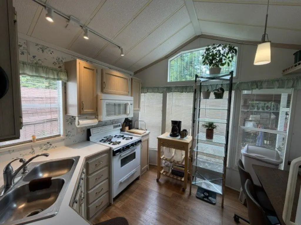 Picture 11