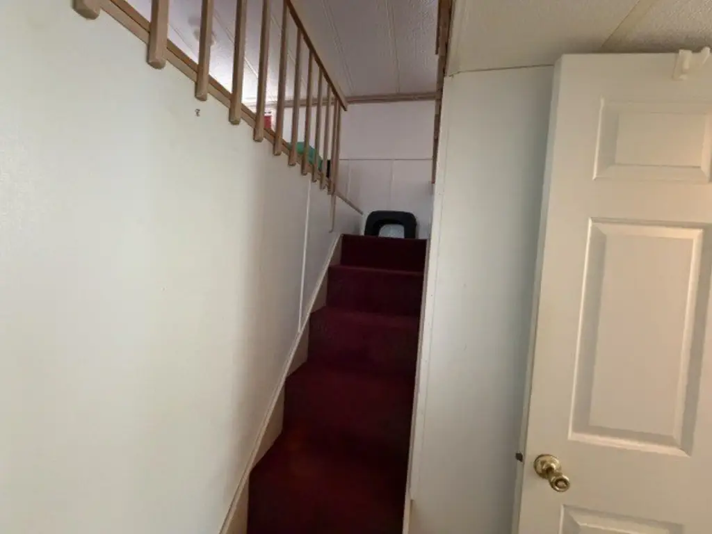 Picture 19