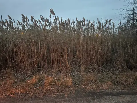 Vacant Land in Brick, NJ