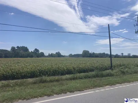 Hamer, SC Open Land Tract