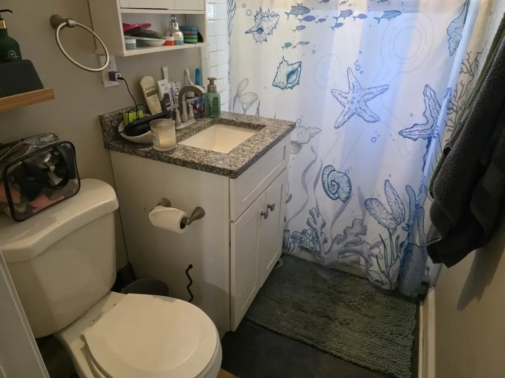 Picture 17