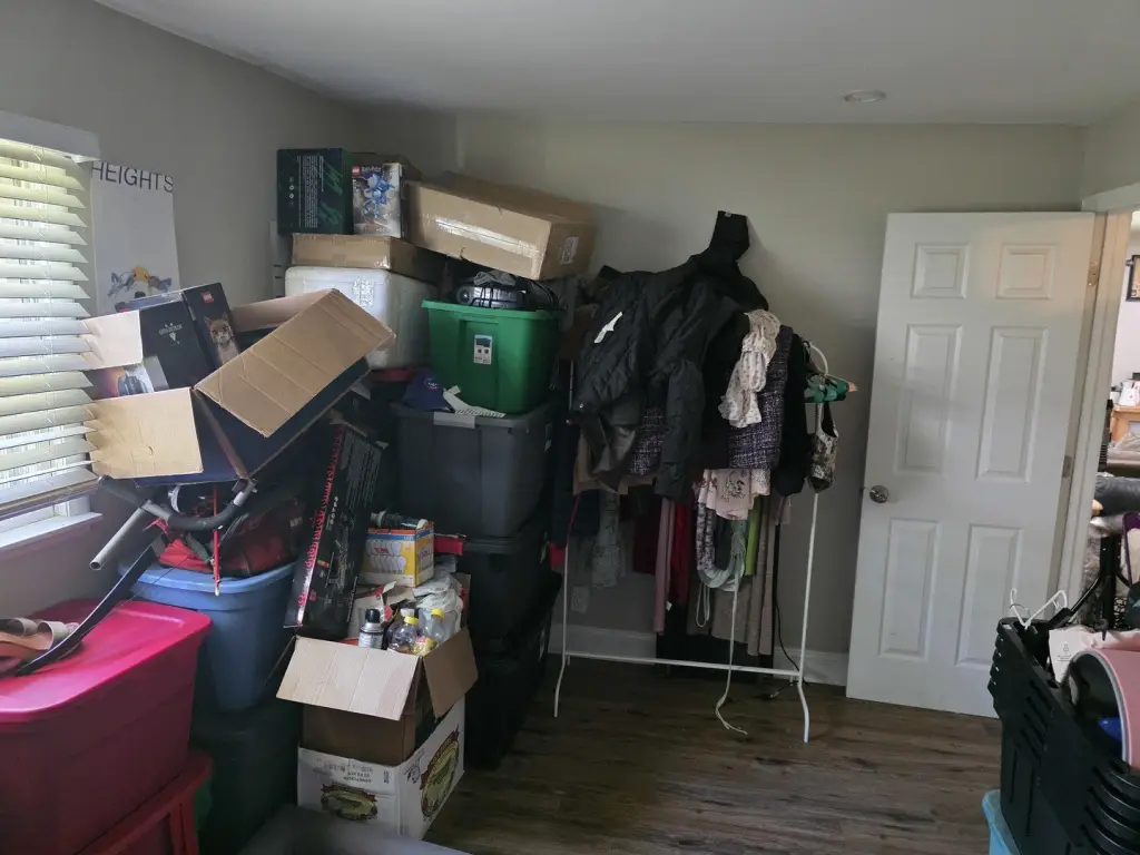 Picture 15