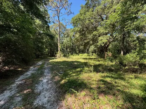 7.18 Acres in Tallahassee, FL
