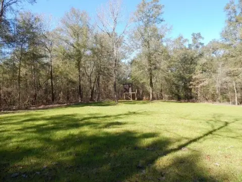 310 Acres Hunting and Timber