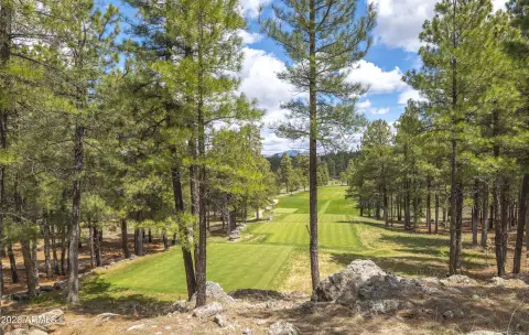 Forest Highlands Homesite Opportunity