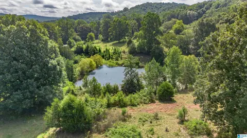 Fenced Agricultural Land with Pond