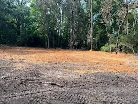 Partially Wooded Land in Jena