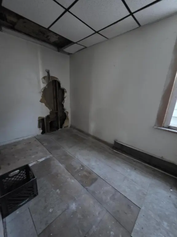 Picture 6