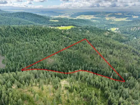 Mead, WA Forest Land