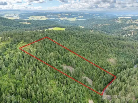 Forested Land Near Mt. Spokane