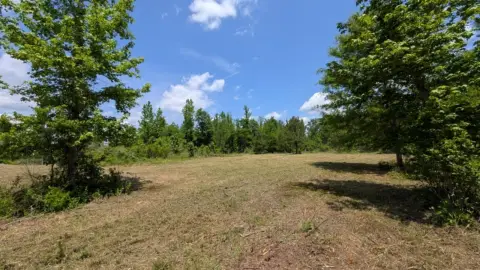 Cleared 5-Acre Land in Petrey