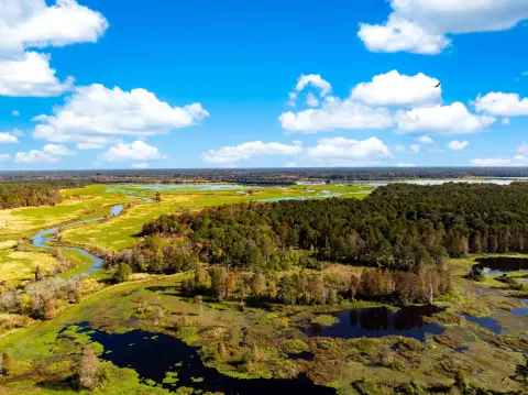 311 Acres on Cooper River