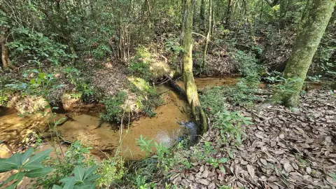 Pace, FL Creekfront Acreage