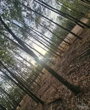 Coldwater Creek Acreage Opportunity