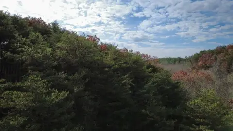 Fairmont, GA Acreage Available