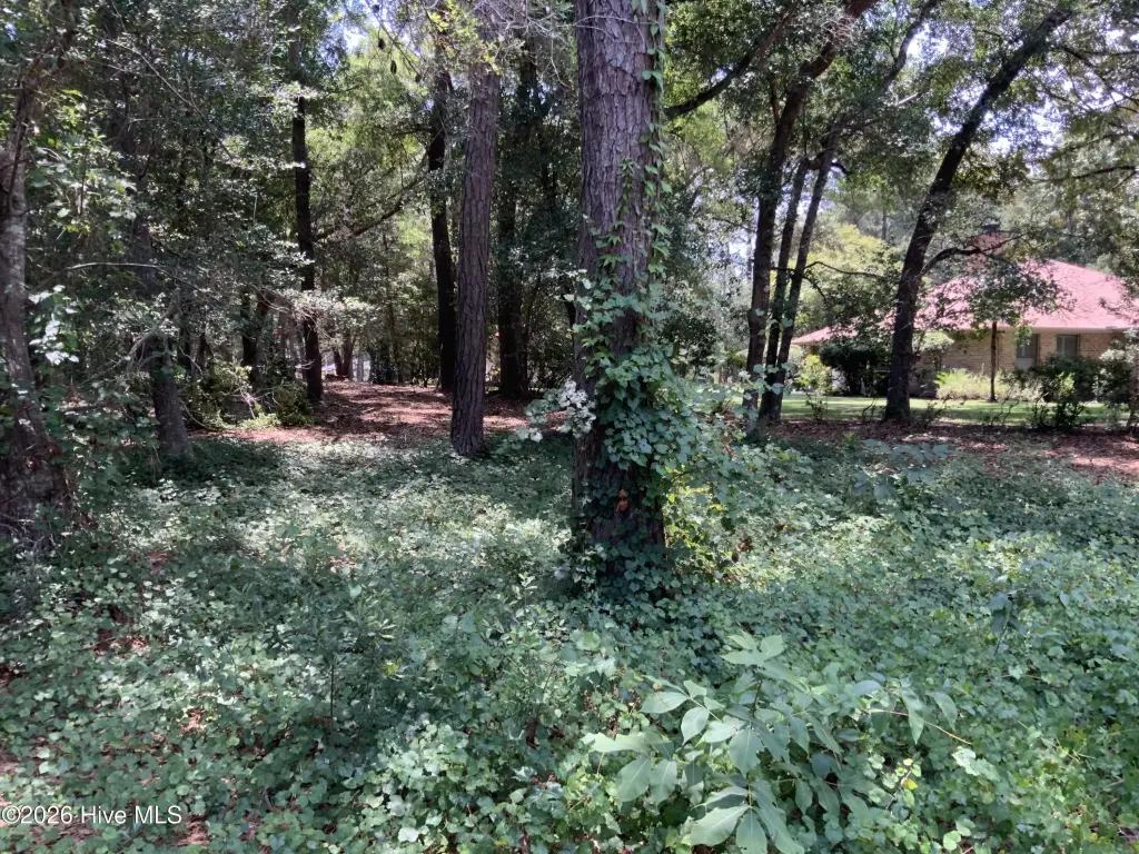 Picture 5