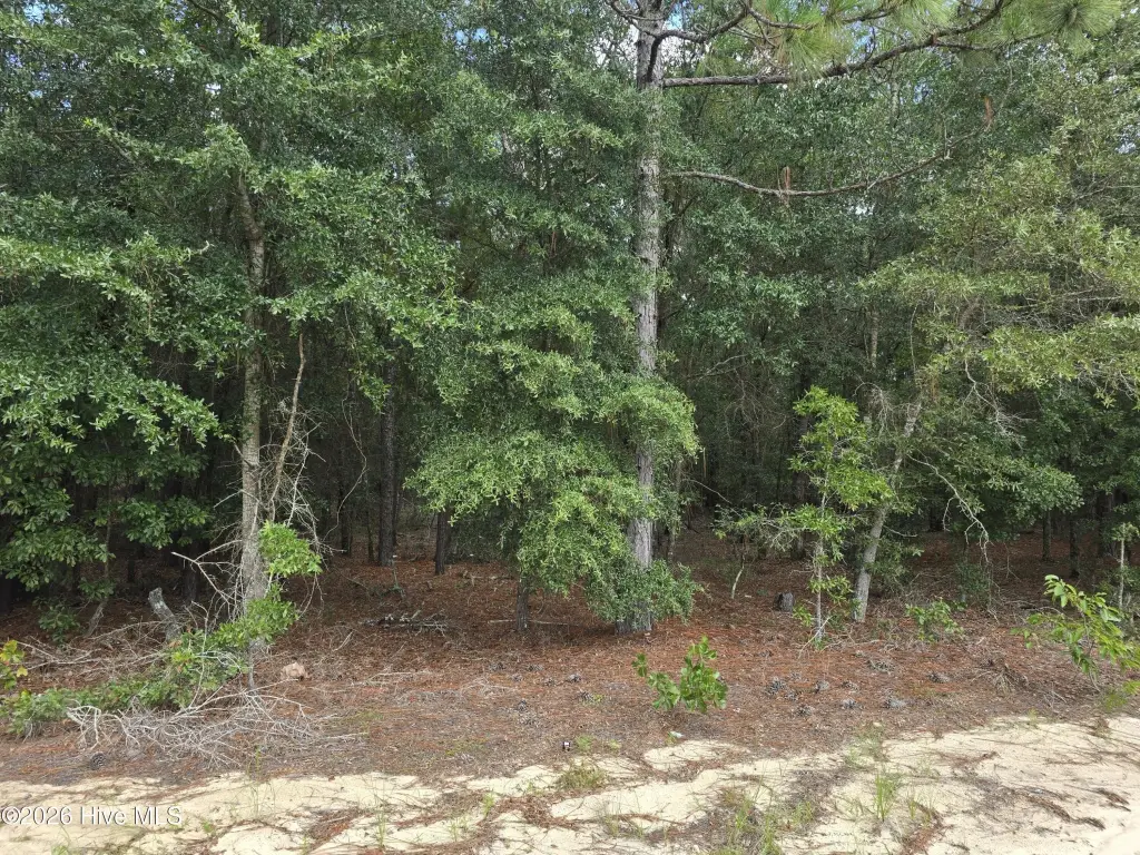 Picture 4