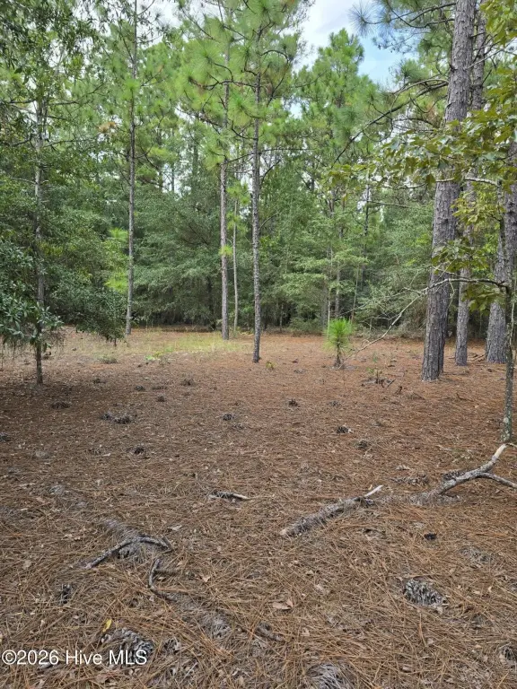 Picture 6