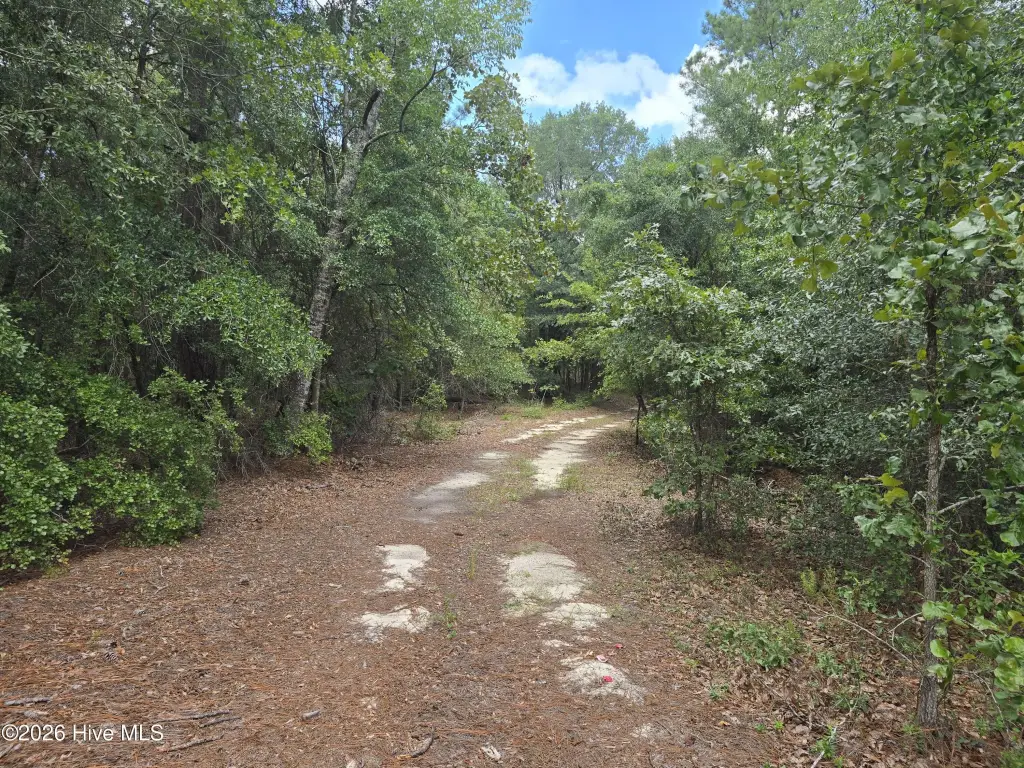 Picture 5