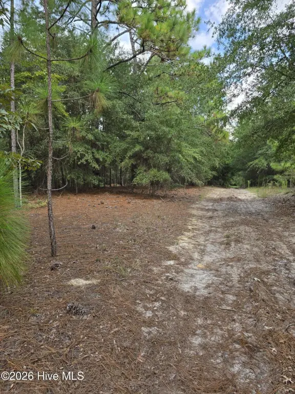 Picture 3