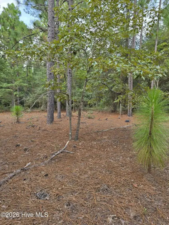 Picture 8