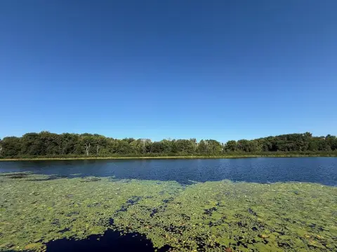 Waterfront Land with Storage Container