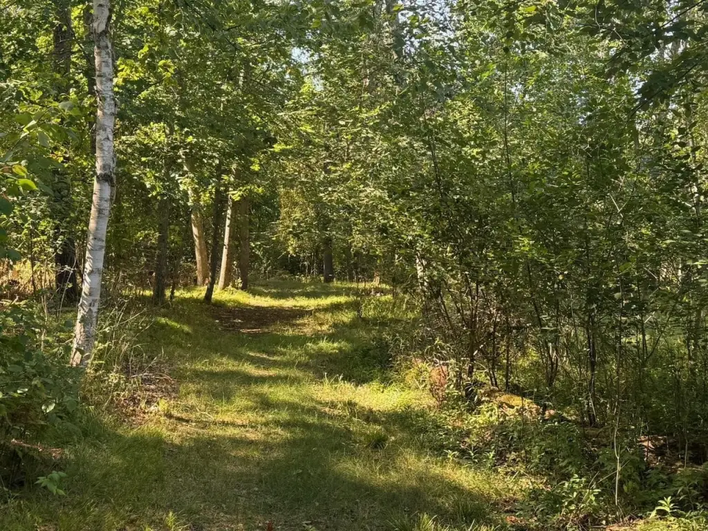 Picture 11
