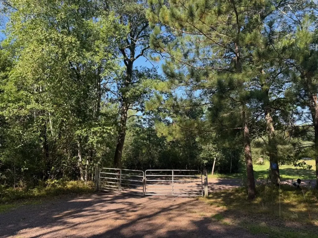 Picture 28