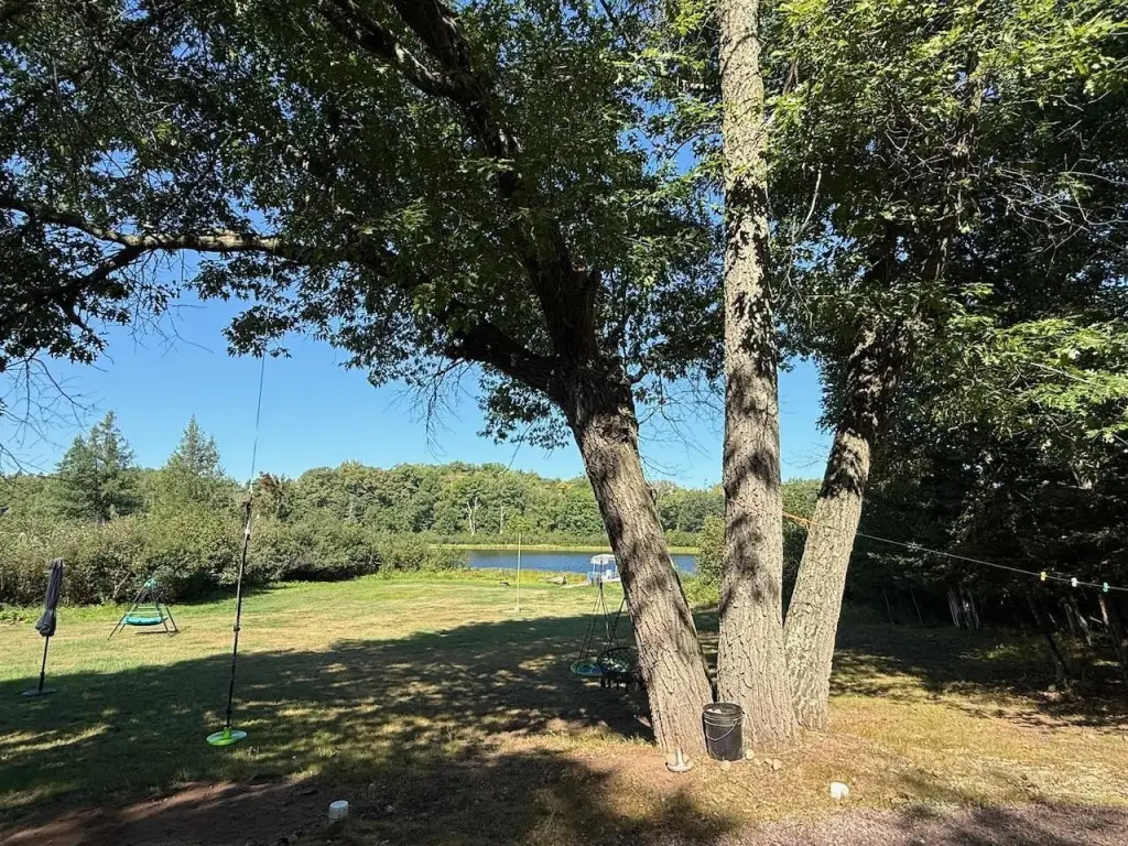 Picture 20