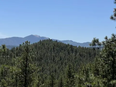 Hill City Land with Views