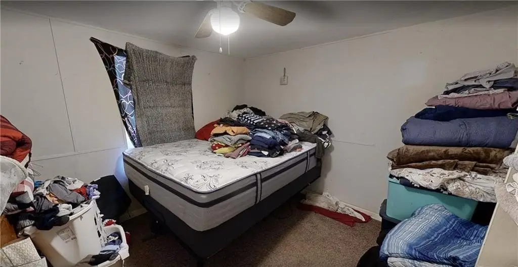 Picture 14