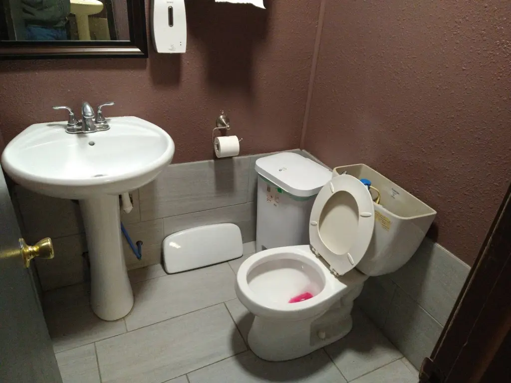 Picture 15
