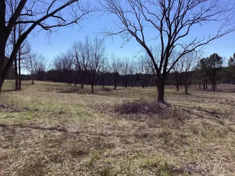 Vacant Land in Union, MS