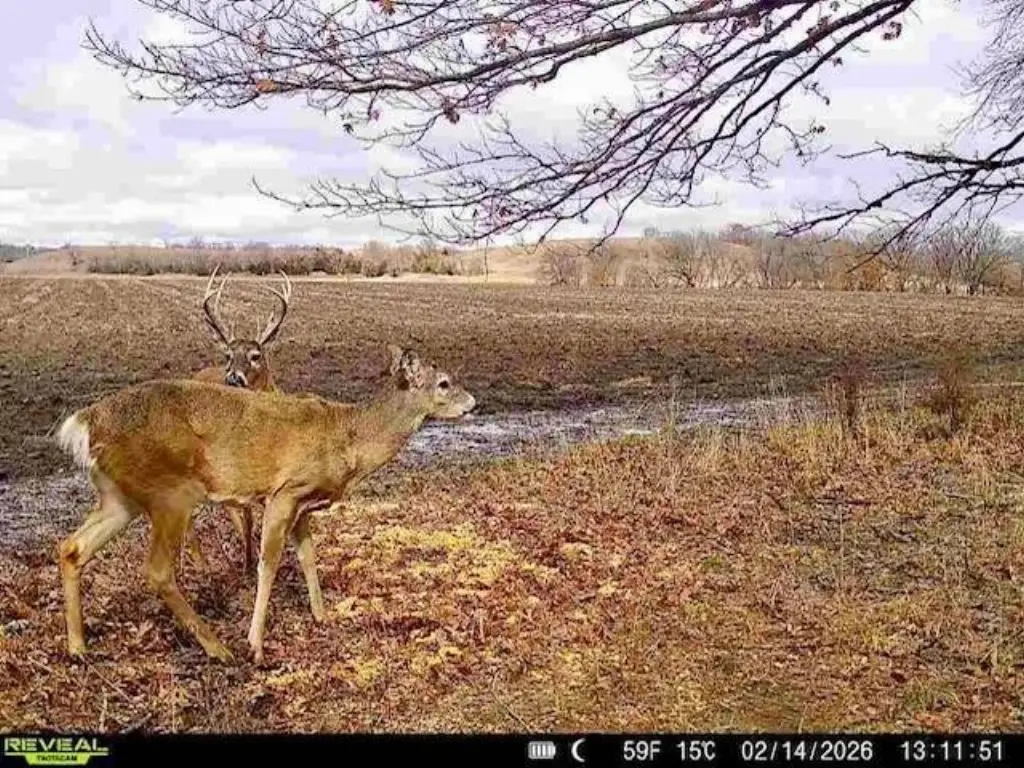 Picture 3