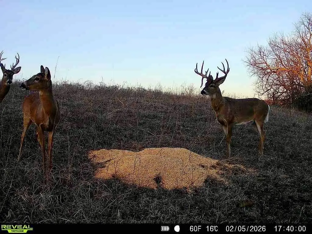 Picture 6