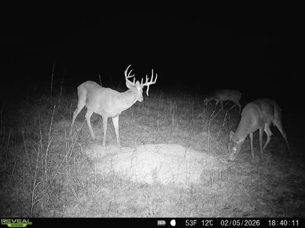 Picture 4