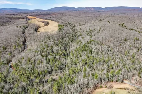 Scenic Land with Road Frontage