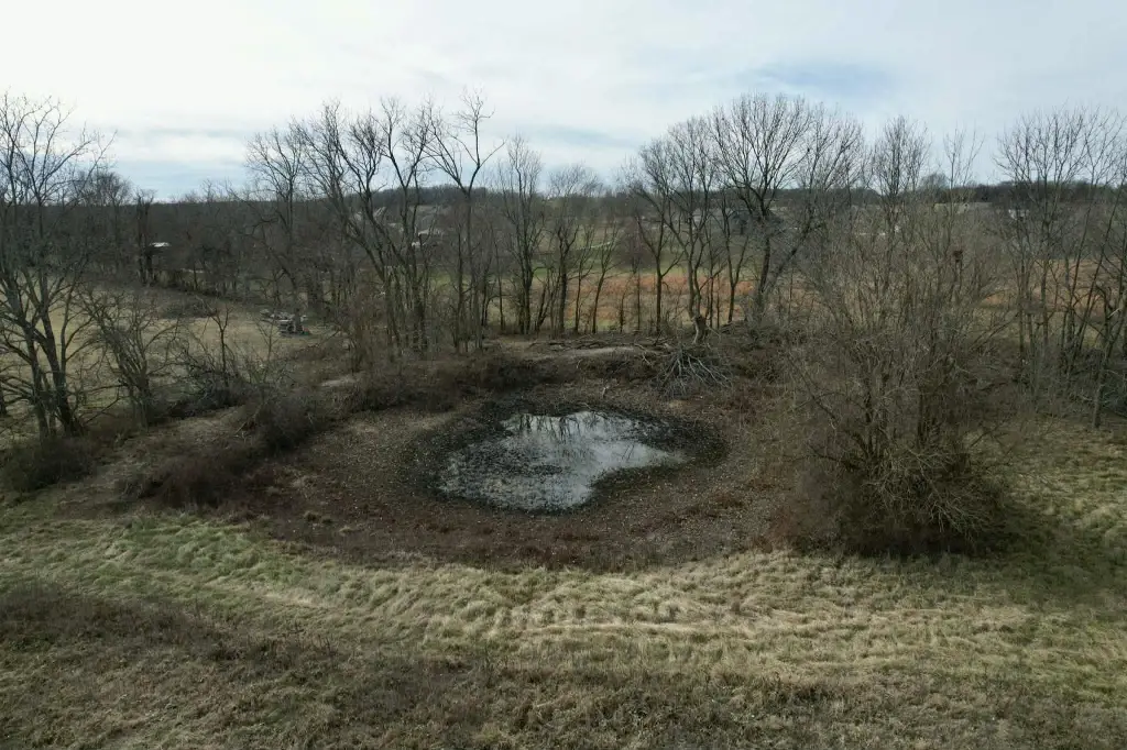Picture 20