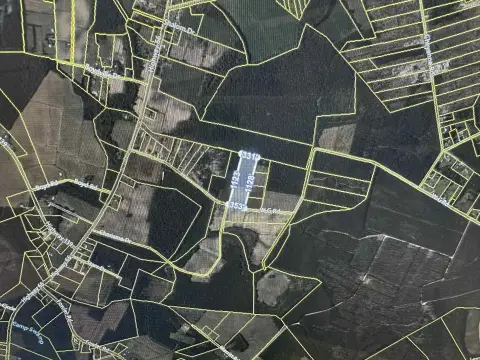 Conway Acreage with Development Potential