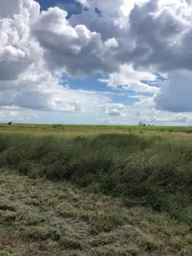 Palacios, TX Land For Sale