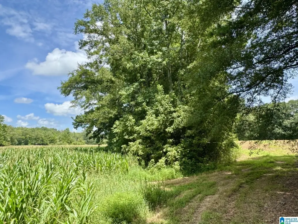 Picture 13
