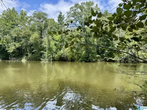Waterfront Hunting Land Tract