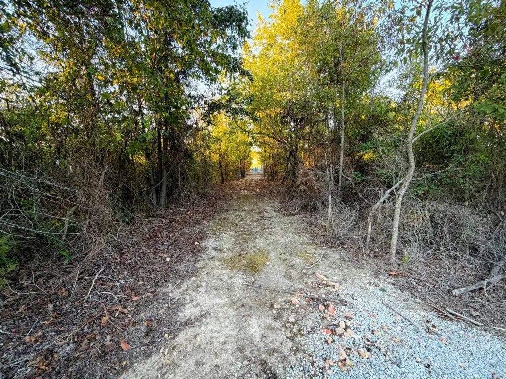 Picture 38