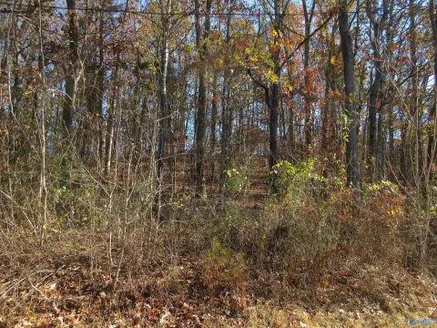 Scottsboro, AL Building Lot