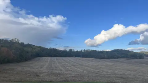 Residential Land in Licking Valley