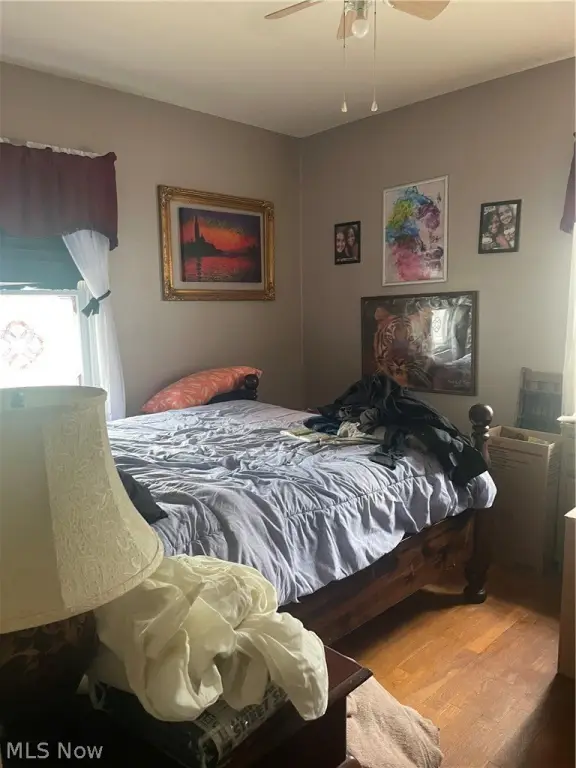 Picture 25
