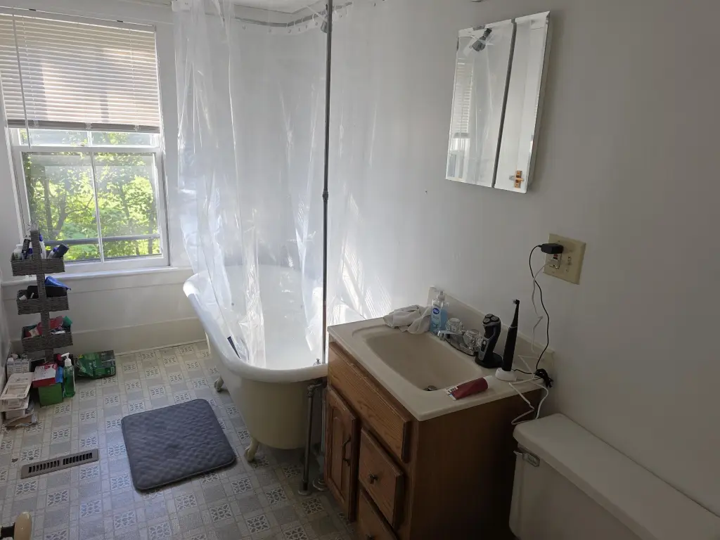 Picture 16