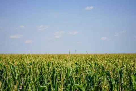 Productive Farmland Northwest of Ulysses