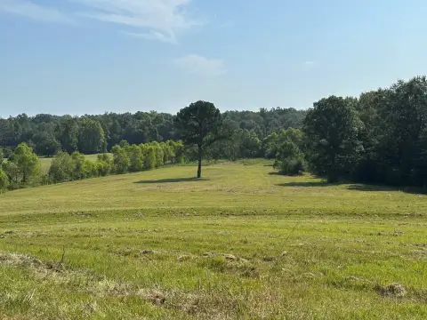 Sprawling Acreage in Brantley, Alabama