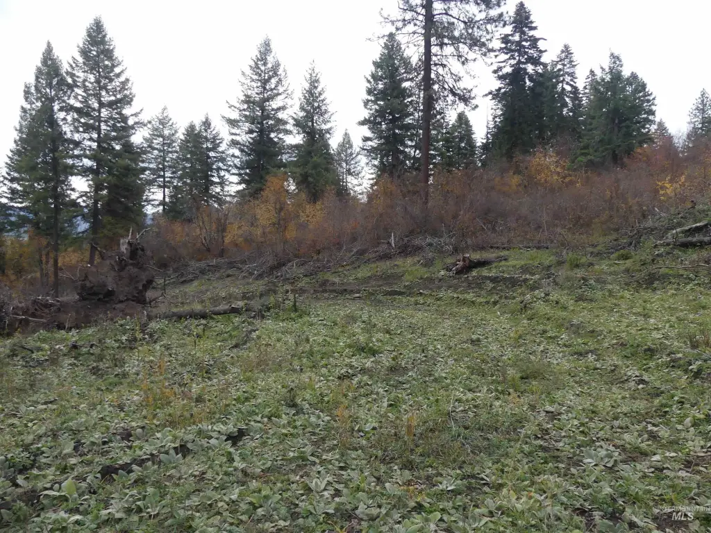 Picture 40